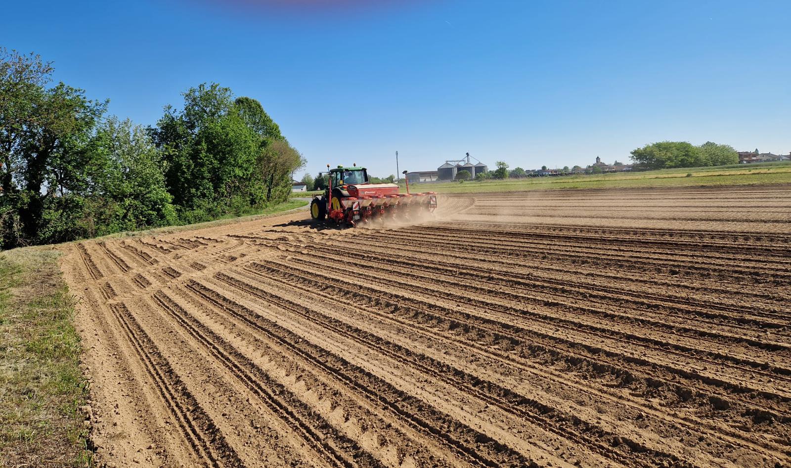 Il campo dopo la semina